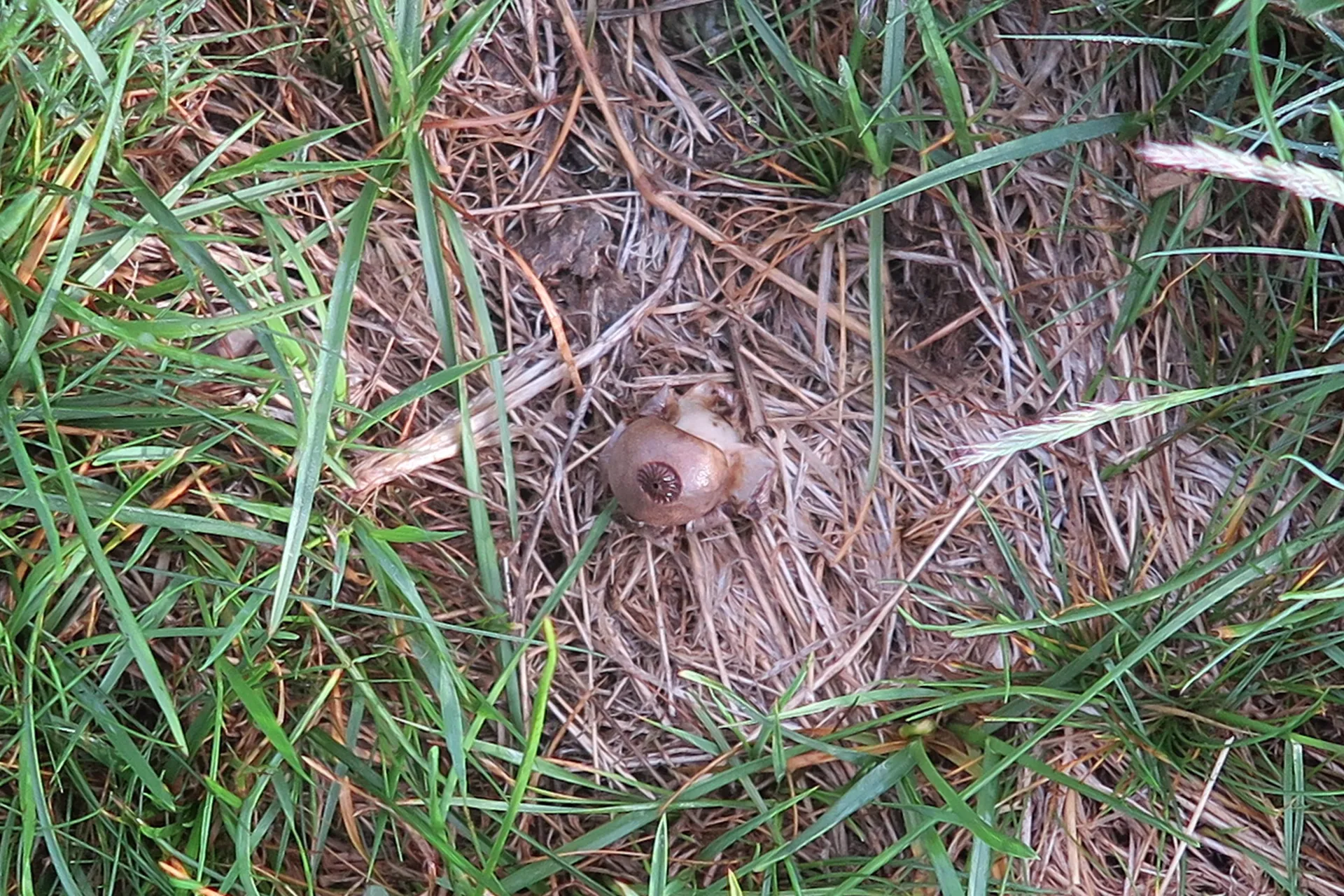 1 -